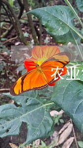 农业银行可以只还本金吗 农业银行可以只还本金吗