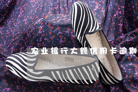 农业银行大额信用卡逾期后果 农业银行大额信用卡逾期后果