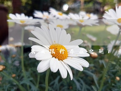 农业银行存在逾期1天怎么办 农业银行存在逾期1天怎么办