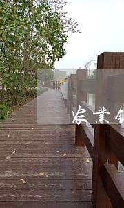 农业银行微捷贷逾期一天 农业银行微捷贷逾期一天