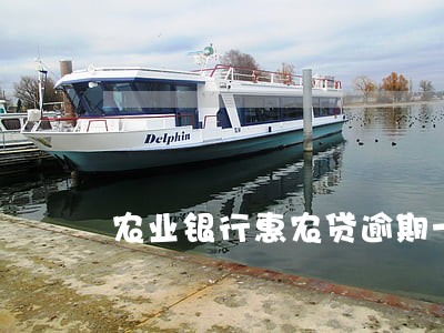 农业银行惠农贷逾期一天会怎么样 农业银行惠农贷逾期一天会怎么样