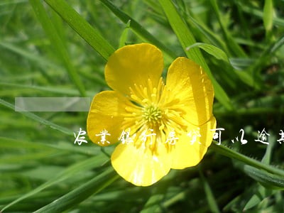 农业银行房贷可以逾期多久 农业银行房贷可以逾期多久