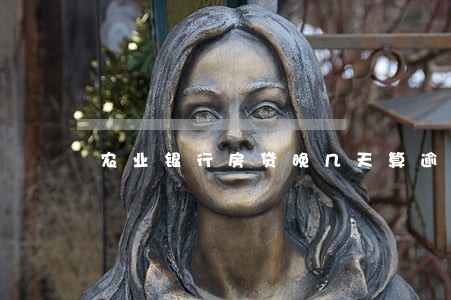 农业银行房贷晚几天算逾期 农业银行房贷晚几天算逾期