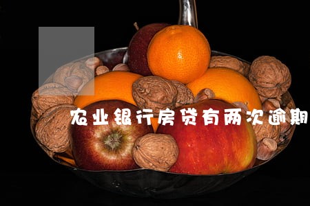 农业银行房贷有两次逾期 农业银行房贷有两次逾期