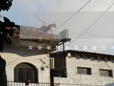 农业银行房贷超期几天算是逾期 农业银行房贷超期几天算是逾期
