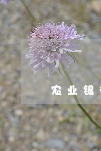 农业银行房贷逾期一天可以协商吗 农业银行房贷逾期一天可以协商吗