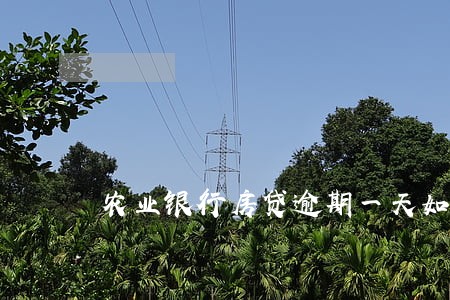 农业银行房贷逾期一天如何补缴 农业银行房贷逾期一天如何补缴