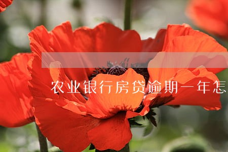 农业银行房贷逾期一年怎么办 农业银行房贷逾期一年怎么办