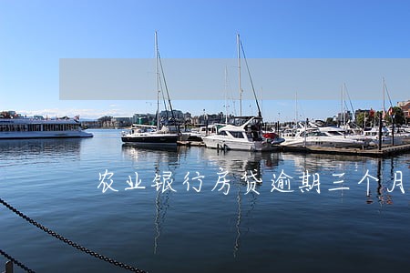 农业银行房贷逾期三个月没还