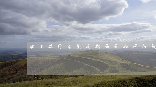 农业银行房贷逾期两天如何扣款 农业银行房贷逾期两天如何扣款
