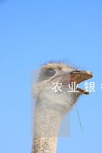 农业银行房贷逾期了 农业银行房贷逾期了