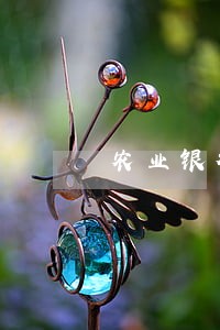农业银行房贷逾期几天上征信 农业银行房贷逾期几天上征信