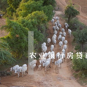 农业银行房贷逾期几天算是逾期