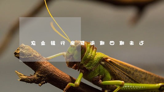 农业银行房贷逾期四期未还 农业银行房贷逾期四期未还