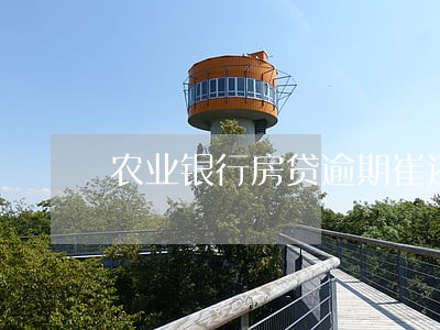 农业银行房贷逾期崔还书