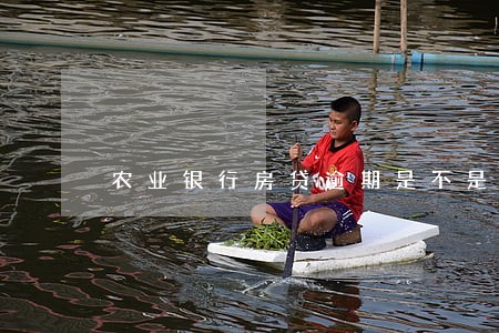 农业银行房贷逾期是不是自动扣的 农业银行房贷逾期是不是自动扣的
