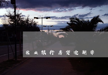 农业银行房贷逾期率 农业银行房贷逾期率