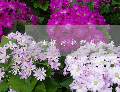 农业银行抵押贷款逾期一天 农业银行抵押贷款逾期一天