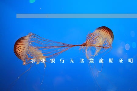 农业银行无恶意逾期证明 农业银行无恶意逾期证明