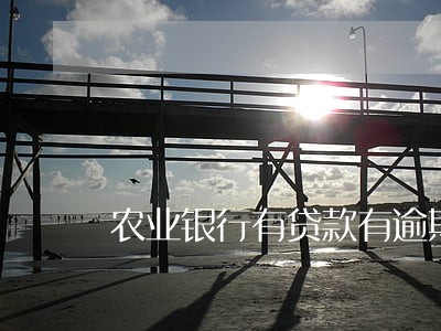 农业银行有贷款有逾期 农业银行有贷款有逾期