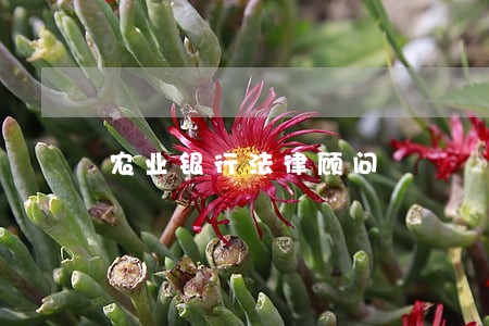 农业银行法律顾问 农业银行法律顾问