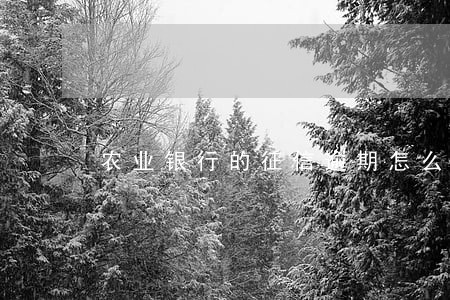 农业银行的征信逾期怎么消除 农业银行的征信逾期怎么消除