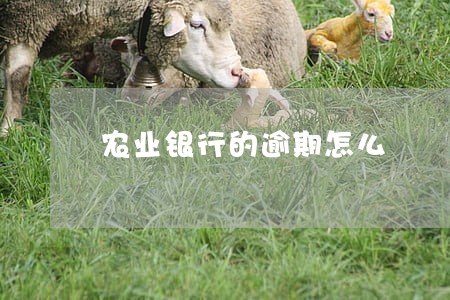 农业银行的逾期怎么 农业银行的逾期怎么