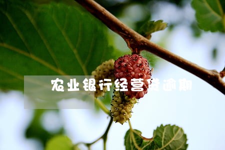 农业银行经营贷逾期 农业银行经营贷逾期