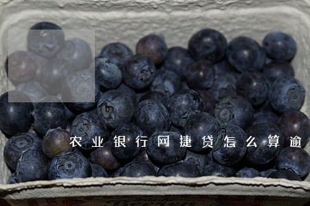 农业银行网捷贷怎么算逾期 农业银行网捷贷怎么算逾期
