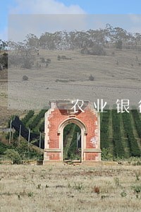 农业银行网捷贷逾期 农业银行网捷贷逾期