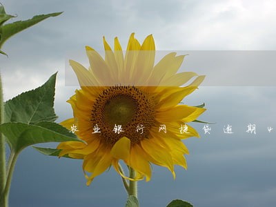 农业银行网捷贷逾期4天 农业银行网捷贷逾期4天
