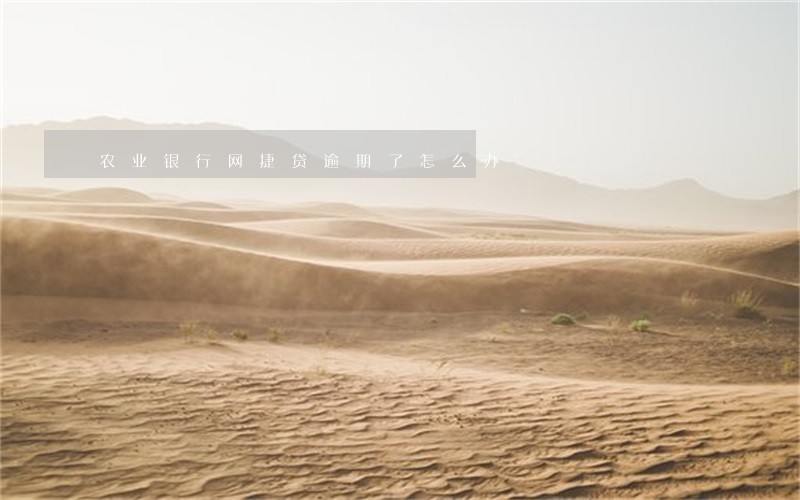 农业银行网捷贷逾期了怎么办 农业银行网捷贷逾期了怎么办