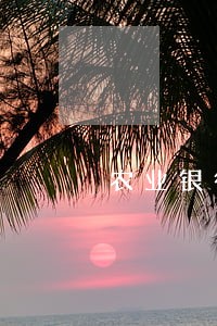 农业银行能对征信逾期开证明吗 农业银行能对征信逾期开证明吗