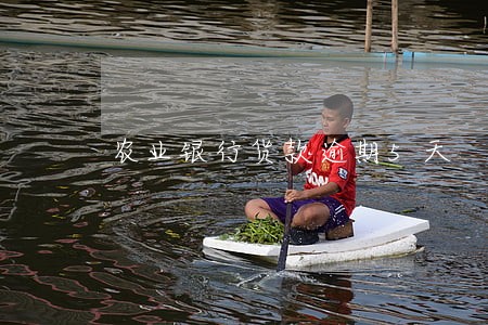 农业银行货款逾期5天 农业银行货款逾期5天