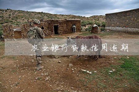 农业银行贷款信用逾期