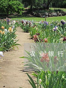 农业银行贷款多久算逾期 农业银行贷款多久算逾期