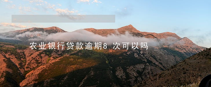 农业银行贷款逾期8次可以吗 农业银行贷款逾期8次可以吗