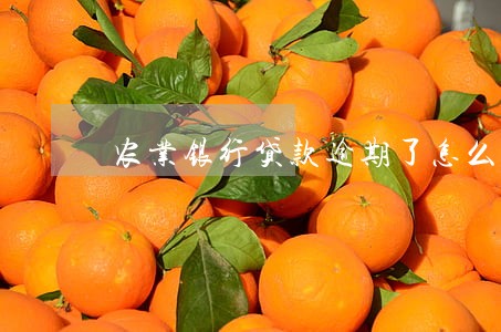 农业银行贷款逾期了怎么办 农业银行贷款逾期了怎么办