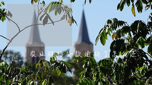 农业银行贷款逾期了怎么还 农业银行贷款逾期了怎么还