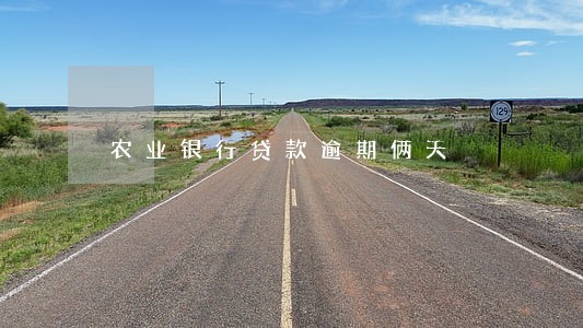 农业银行贷款逾期俩天 农业银行贷款逾期俩天