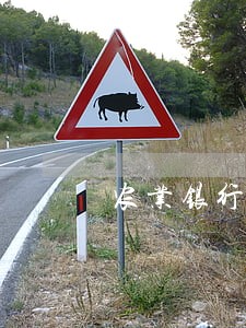 农业银行贷款逾期催收