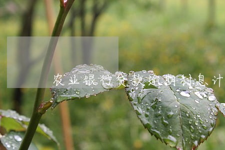 农业银行贷款逾期利息计算