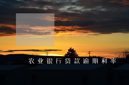 农业银行贷款逾期利率 农业银行贷款逾期利率