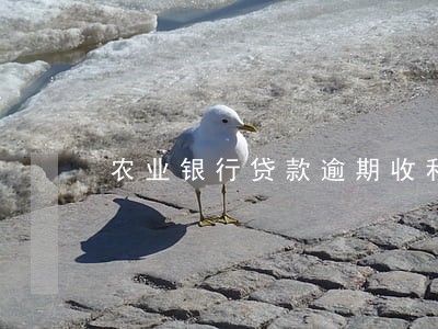 农业银行贷款逾期收利息 农业银行贷款逾期收利息