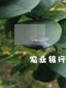 农业银行贷款逾期期限 农业银行贷款逾期期限