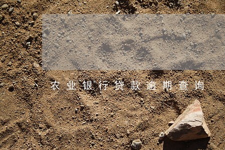 农业银行贷款逾期查询