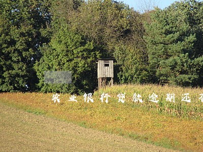农业银行贷款逾期还不上怎么办 农业银行贷款逾期还不上怎么办