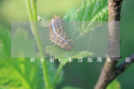 农业银行车贷加周末一起逾期四天 农业银行车贷加周末一起逾期四天