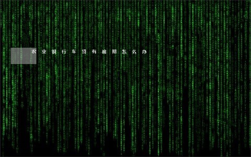 农业银行车贷有逾期怎么办 农业银行车贷有逾期怎么办