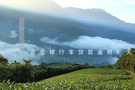 农业银行车贷款逾期6天 农业银行车贷款逾期6天